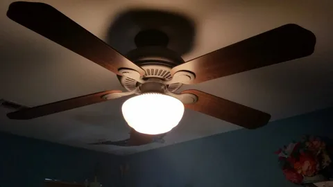 Ceiling Fan Shop Sydney
